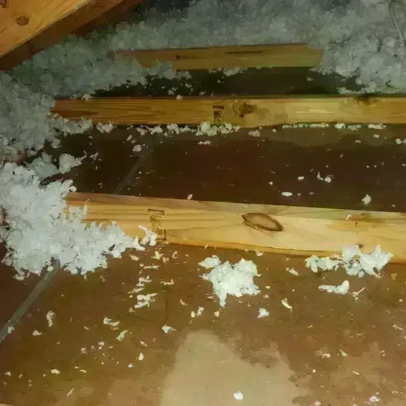 Attic Water Damage in Lorenzo, TX