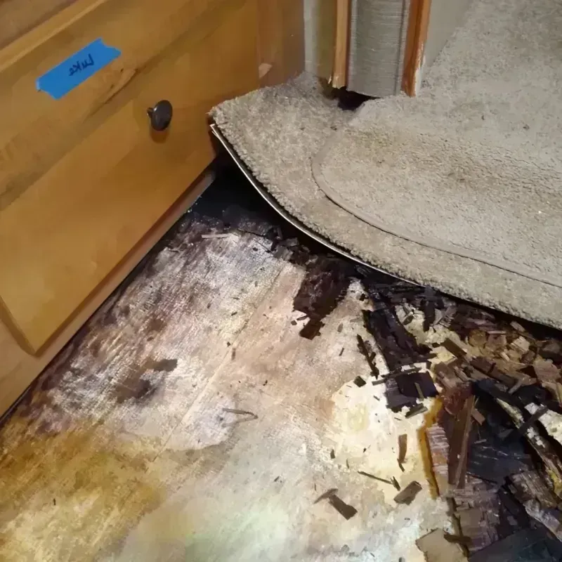 Wood Floor Water Damage in Lorenzo, TX